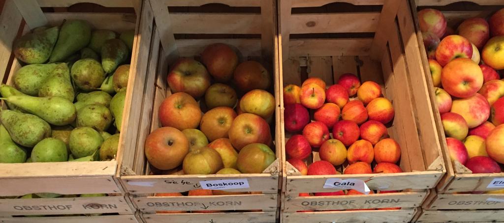Verschiedenes Obst: Verschiedene Apfelsorte und Birnen.